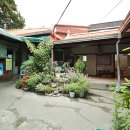 철원막국수 이미지