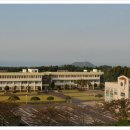 제주중앙고등학교 이미지