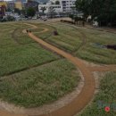 메밀꽃 화장실 이미지