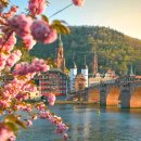 르네상스약국 | [하이델베르크 Heidelberg] 하이델베르크 성, 케이블카 - 당일 여행 / 프랑크푸르트 근교 나들이