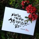 캘리그라피(야간) 이미지