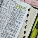 가죽공예품 만들기: 가죽리폼 | 성경책 리폼 후기 천연가죽 김포 방문 클래스도 가능한 센시오레더에서 했어요.