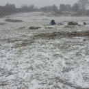 바산농장 이미지