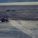 중부야채 이미지