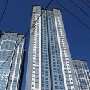 일학년백반 이미지