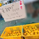금복상회 이미지