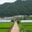 신읍1리 이미지