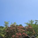 허균+허난설헌기념관 | 강릉 카페 갤러리밥스 /강릉 가볼만한곳 허균허난설헌공원