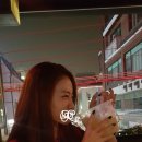 몽키비치2