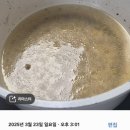 [생활] 펜소닉 푸드워머 실제 6개월 사용후기|파워강추|주방용품|가전용품