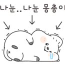심야식당츠키