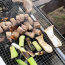 신우목장 이미지