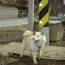 한천민박 이미지