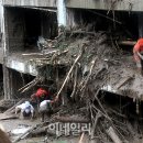 우면산6-3 이미지