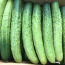 이기순농장 이미지