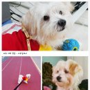 뽀뽀장 이미지