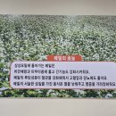 상상모밀