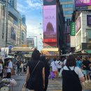 명동의류 이미지