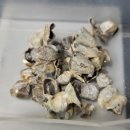 보배부동산중개사무소 이미지