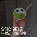 신기3길L | 양재 젤라또 맛집 l 누볼라 양재천 메뉴, 주차, 맛 후기