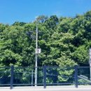 포레스트휴 이미지