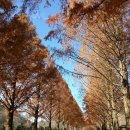 운장산자연휴양림 이미지