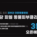 분당 피엘 동물피부클리닉 이미지