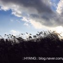 동남목욕탕 네이버블로그