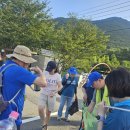 굿모닝 환경