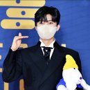 너머앤 스타뉴스