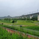 탑립동 대덕밸리 용신교 버스정류장 | 대전 파크골프장 리스트 및 상세 정보