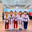 용인대 예당 태권도장 이미지