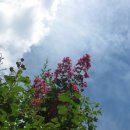 중구청 본관 이미지