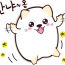 해안짜장면 이미지