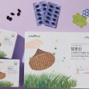유니베라신 네이버블로그