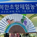 행복한 초향농장 이미지