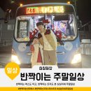 (주)대도운수 | 반짝이는 주말 체크인 ! 산타버스도 타고, 트리도 본 심심이네 주말일상