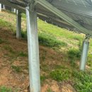 아시아기업 태양광발전소 이미지