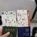 공항 티웨이 직항 왕복 이코노미 tw403 tw404 내돈내산 탑승후기 (공항 체크인, 수하물, 좌석, 기내식...