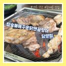 [전남/담양] 계곡 식당 한재골 맛집 :: 참숯불에꾸운닭앤꿈장어