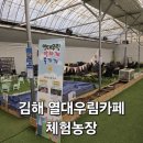 강매농장 | [김해/데이트] 부산근교 이색 동물들을 만나고 체험할 수 있는 "열대우림 카페&amp;체험농장"