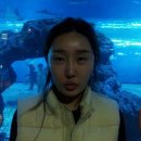 씨월드모텔 이미지