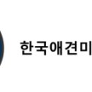 진애견 이미지