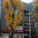 멍멍클럽 이미지