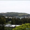 강정동-62 이미지