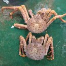 대일수산 이미지