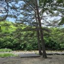 계곡 소리 들으며 잠들기😴 여름 캠핑은 북극곰 캠핑장에서!
