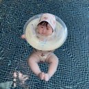 오성목장 이미지