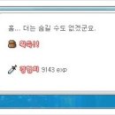 오르비스
