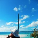 YOLO BEACH 이미지